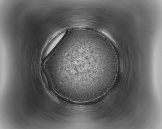 X0000087010486200704301421