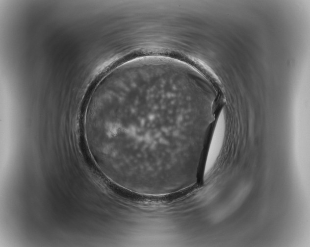 X0000087010487200704301421