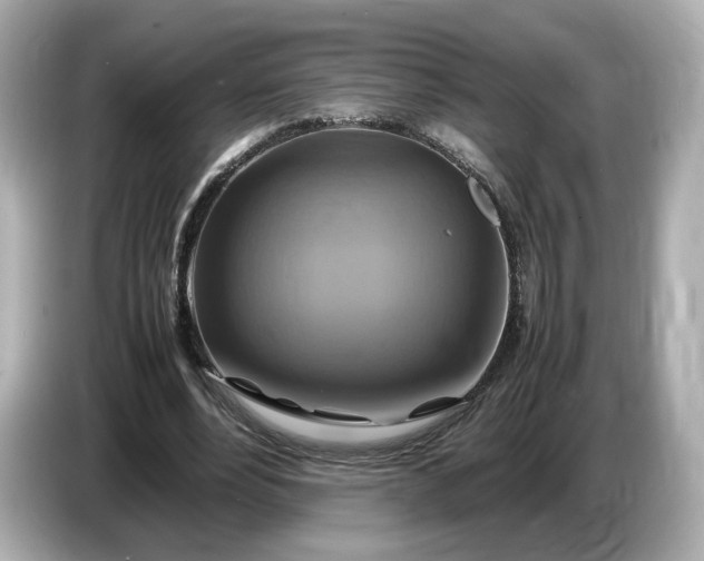 X0000087010488200704301421