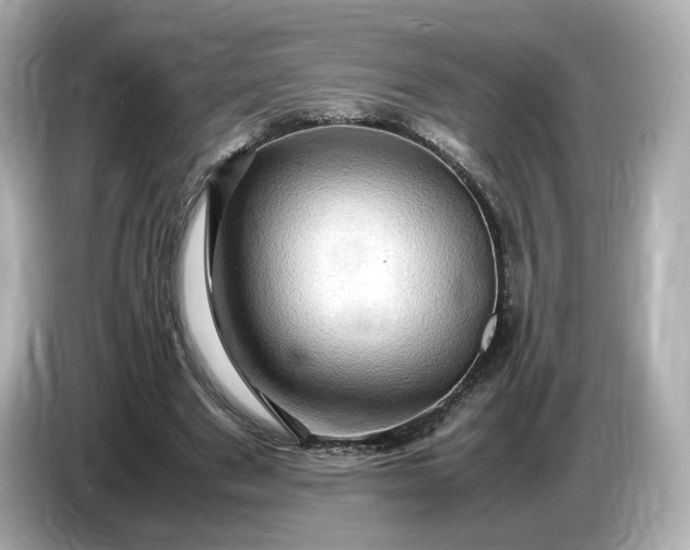 X0000087010489200704301421