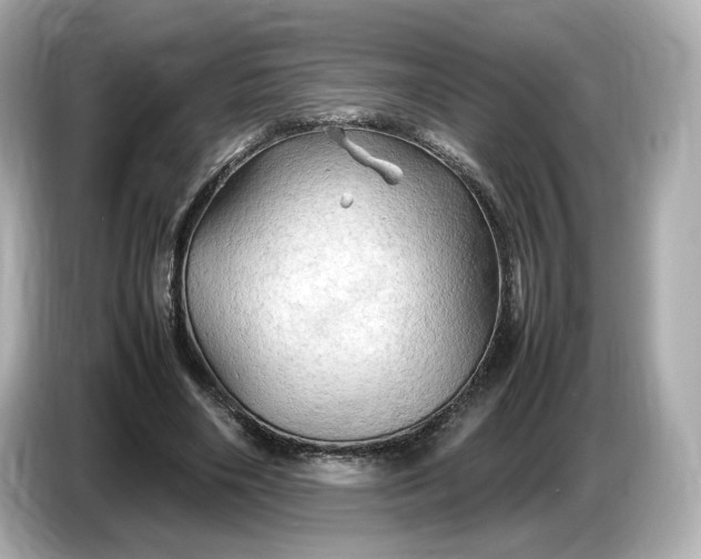 X0000087010490200704301420