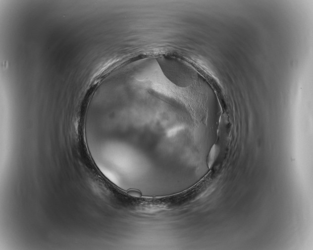 X0000087010491200704301420