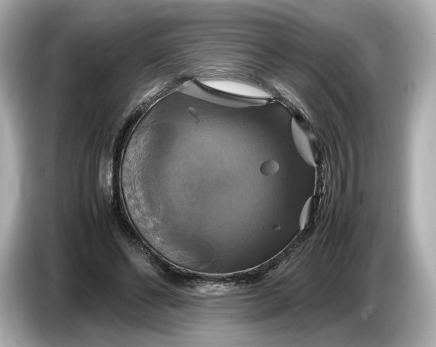 X0000087010494200704301420