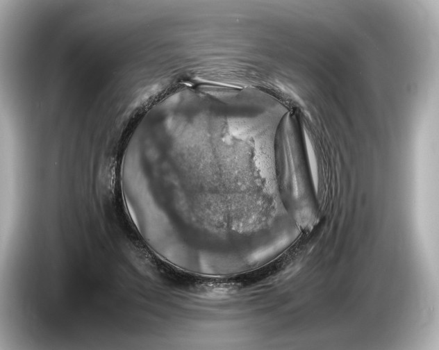 X0000087010495200704301420