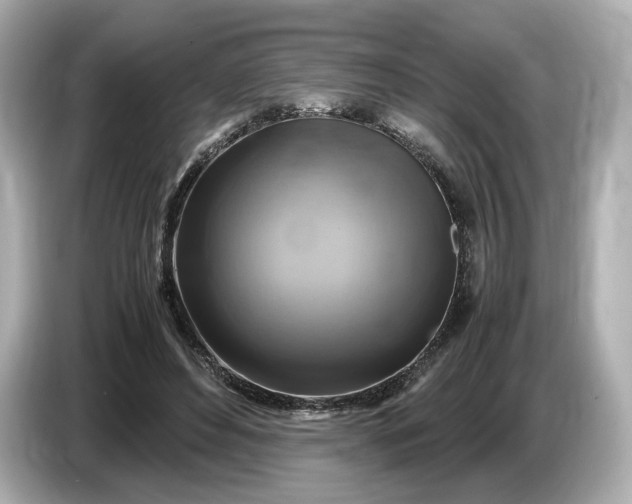 X0000087010496200704301420