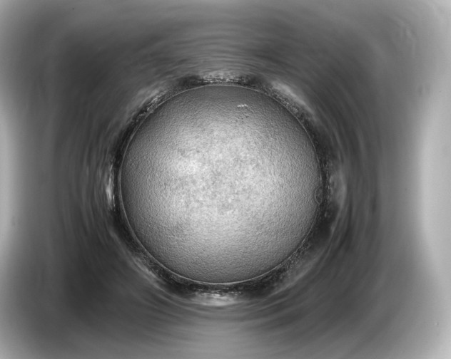 X0000087010498200704301420