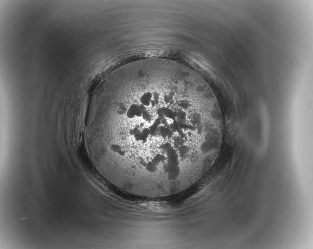 X0000087010499200704301420