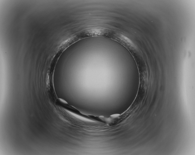 X0000087010500200704301420