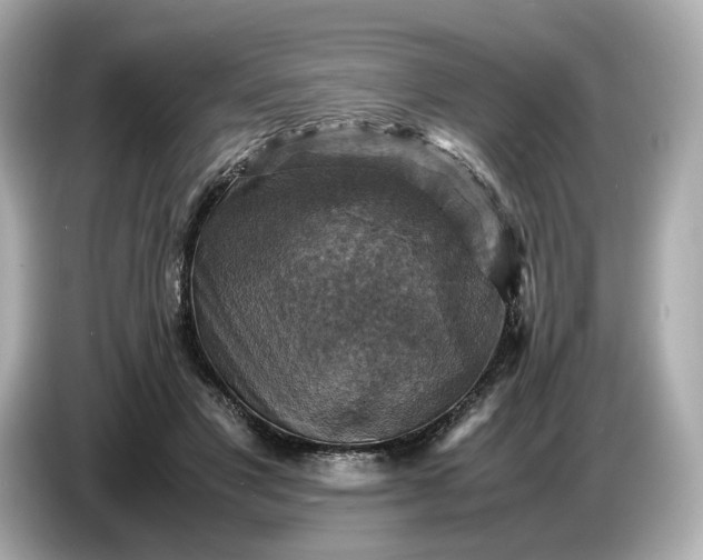 X0000087010501200704301420