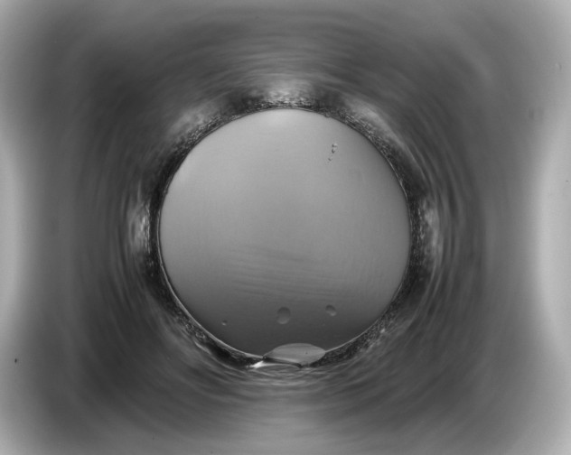 X0000087010502200704301420