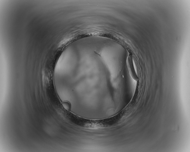 X0000087010503200704301420