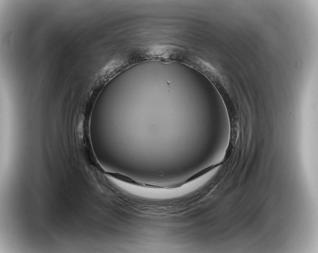 X0000087010504200704301420