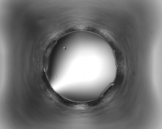 X0000087010505200704301420