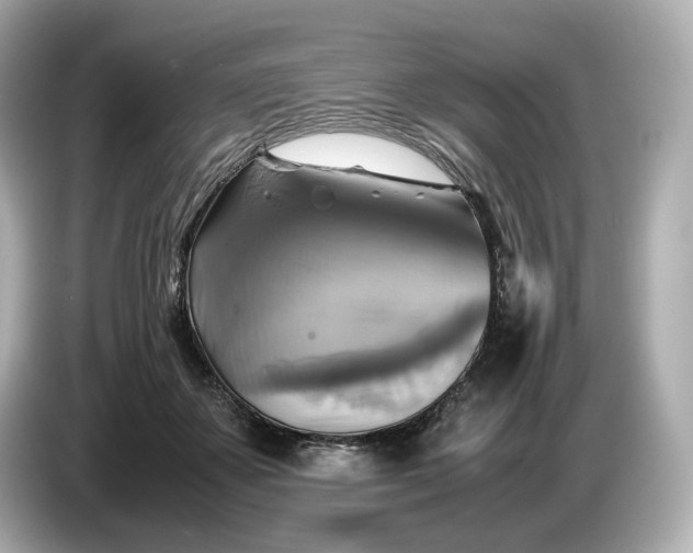 X0000087010507200704301420