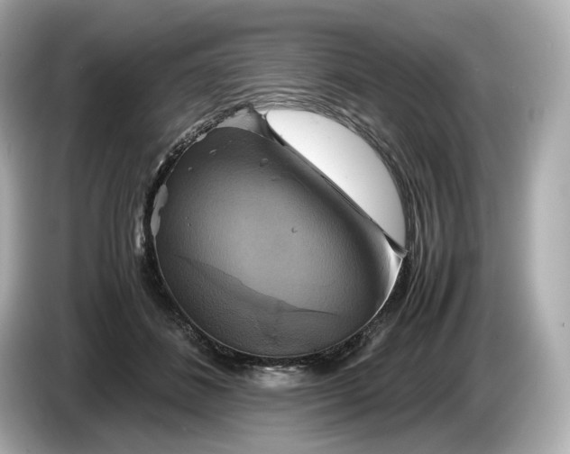 X0000087010508200704301420