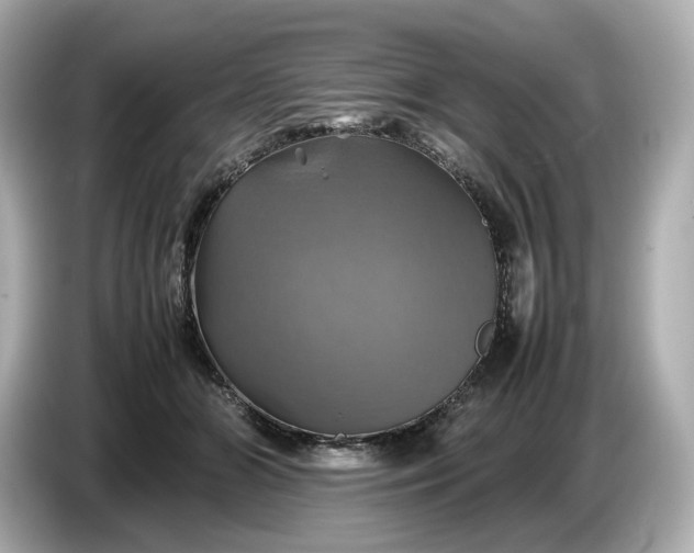 X0000087010510200704301420