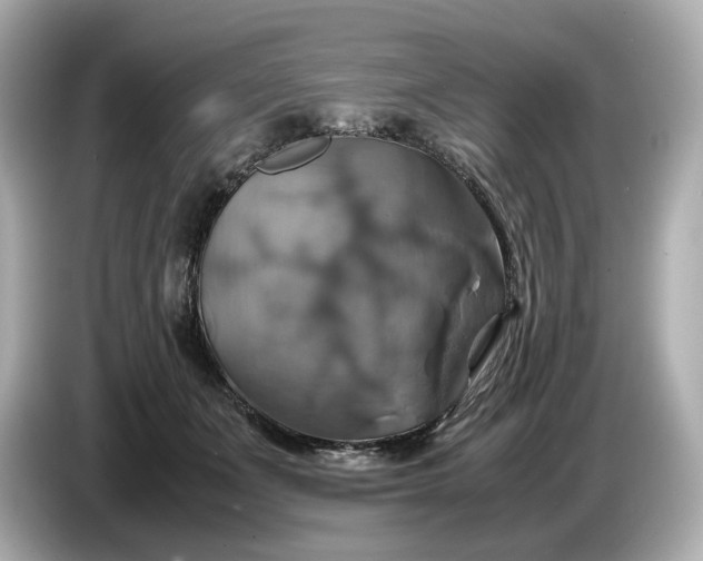 X0000087010511200704301420