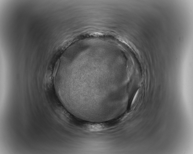 X0000087010513200704301420