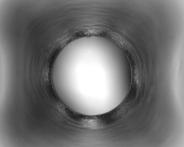 X0000087010514200704301420