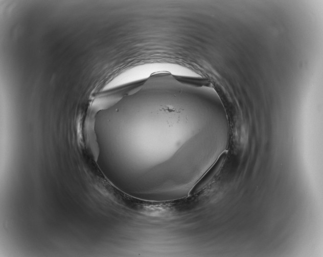 X0000087010516200704301420