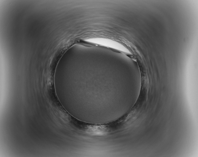 X0000087010517200704301420