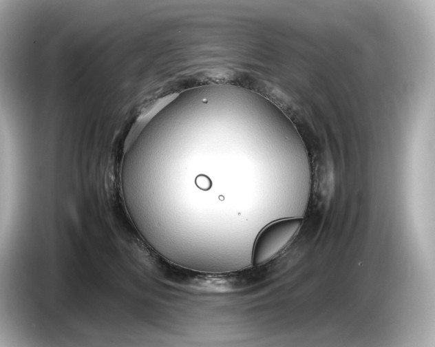 X0000087010518200704301420