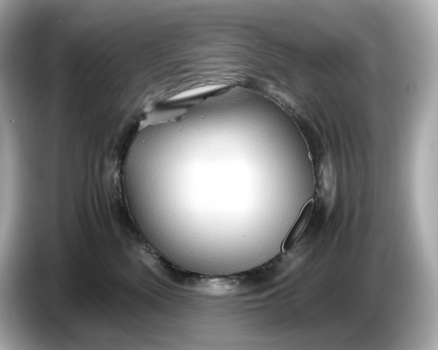 X0000087010522200704301420