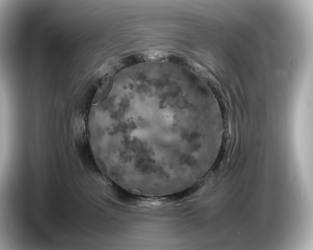 X0000087010523200704301420