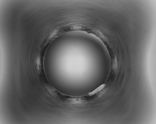 X0000087010524200704301420