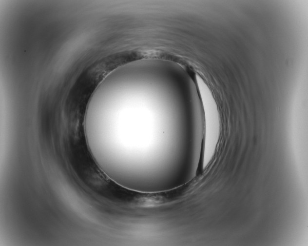 X0000087010525200704301420