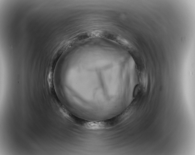 X0000087010526200704301420