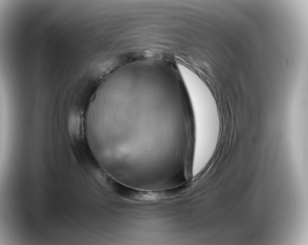 X0000087010527200704301420