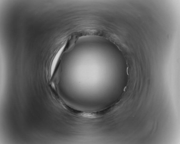 X0000087010528200704301420