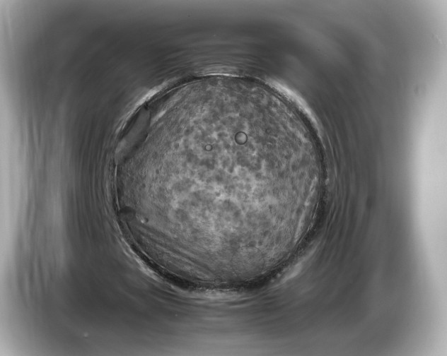 X0000087010529200704301419