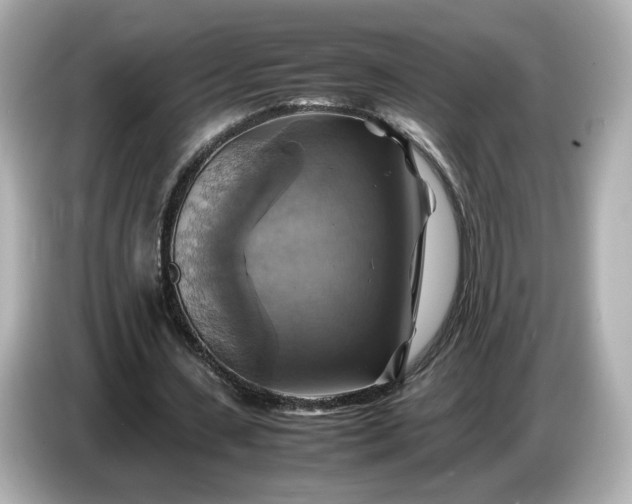 X0000087010531200704301419