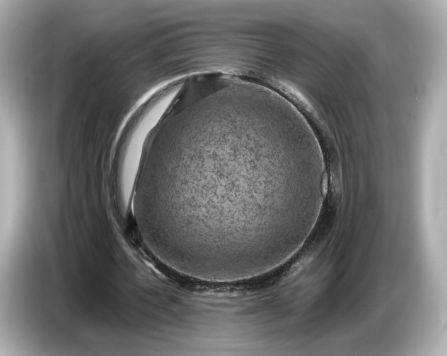 X0000087010532200704301419