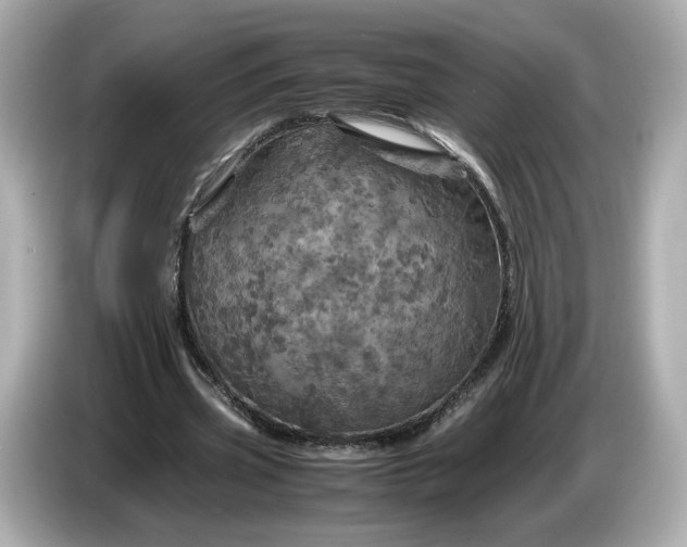 X0000087010533200704301419