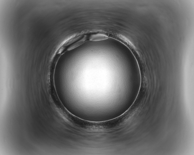 X0000087010535200704301419