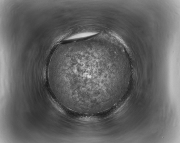 X0000087010537200704301419