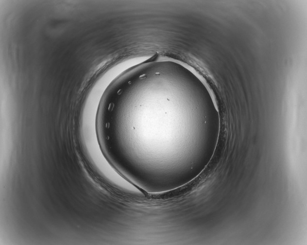 X0000087010538200704301419