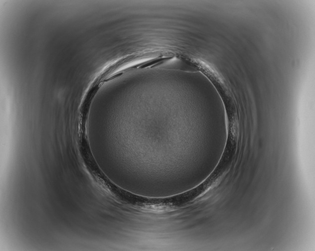 X0000087010540200704301420