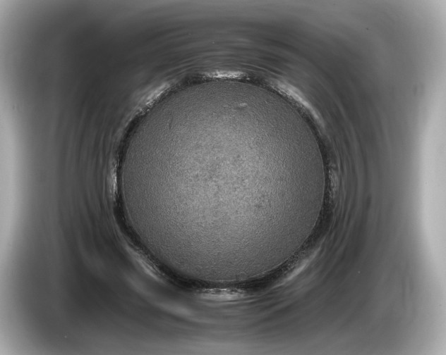 X0000087010541200704301420