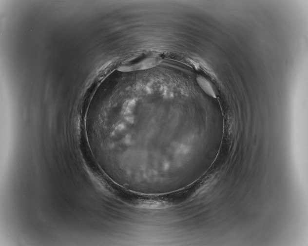 X0000087010542200704301420