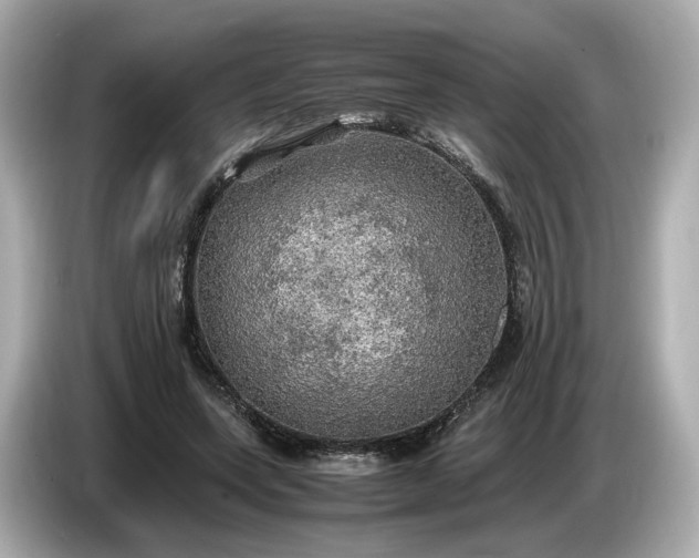 X0000087010543200704301420