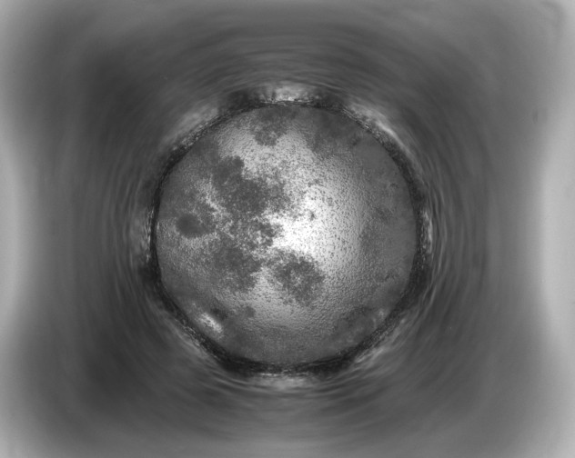 X0000087010545200704301420