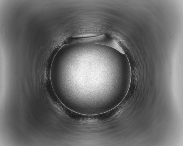 X0000087010546200704301420