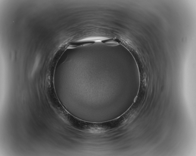 X0000087010547200704301420