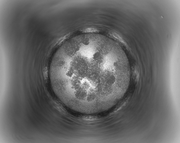 X0000087010549200704301420