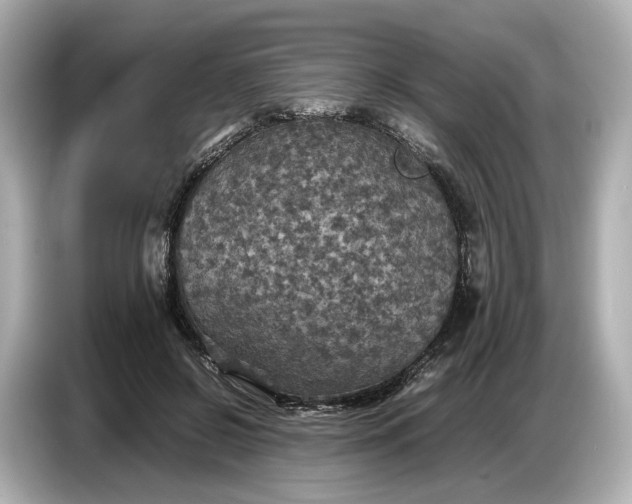 X0000087010550200704301420