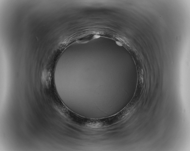 X0000087010551200704301420